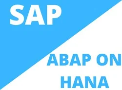SAP ABAP HANA Technical